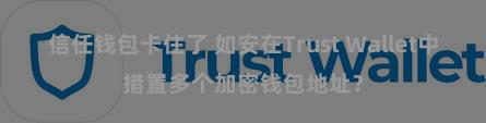 信任钱包卡住了 如安在Trust Wallet中措置多个加密钱包地址？